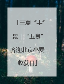三夏“丰”景｜“五良”齐迎北京小麦收获日