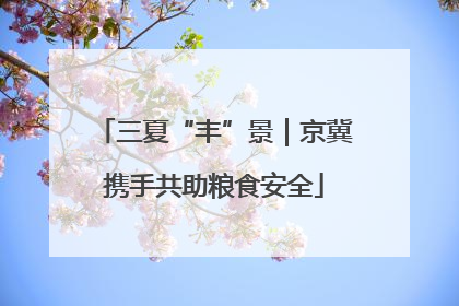 三夏“丰”景｜京冀携手共助粮食安全
