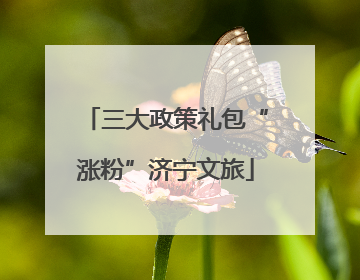 三大政策礼包“涨粉”济宁文旅