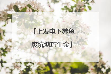 上发电下养鱼 废坑塘巧生金