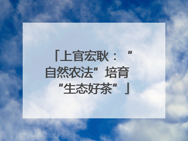 上官宏耿：“自然农法”培育“生态好茶”