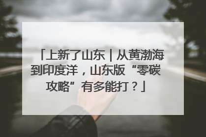 上新了山东｜从黄渤海到印度洋，山东版“零碳攻略”有多能打？