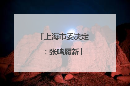 上海市委决定：张鸣履新