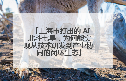 上海市打出的 AI 北斗七星，为何能实现从技术研发到产业协同的闭环生态