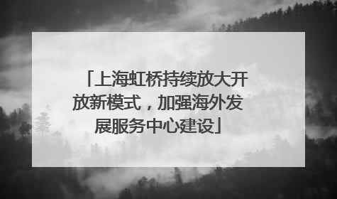 上海虹桥持续放大开放新模式，加强海外发展服务中心建设