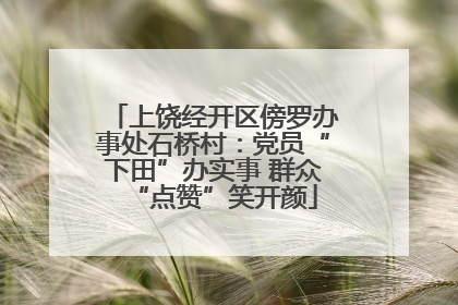 上饶经开区傍罗办事处石桥村：党员“下田”办实事 群众“点赞”笑开颜