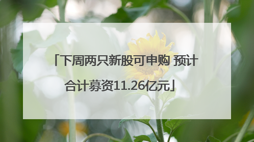 下周两只新股可申购 预计合计募资11.26亿元