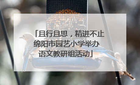 且行且思，精进不止 绵阳市园艺小学举办语文教研组活动