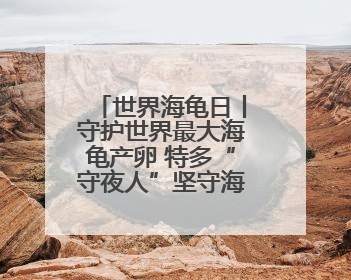 世界海龟日丨守护世界最大海龟产卵 特多“守夜人”坚守海滩30多年