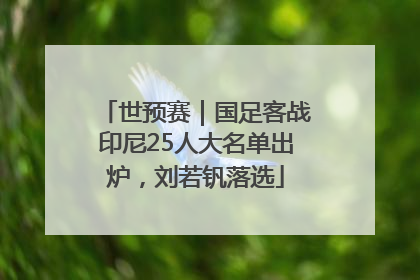 世预赛｜国足客战印尼25人大名单出炉，刘若钒落选