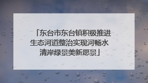 东台市东台镇积极推进生态河道整治实现河畅水清岸绿景美新愿景