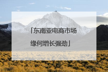 东南亚电商市场缘何增长强劲