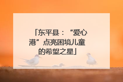 东平县：“爱心港”点亮困境儿童的希望之星