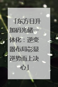东方日升加码光储一体化：逆变器布局彰显逆势而上决心