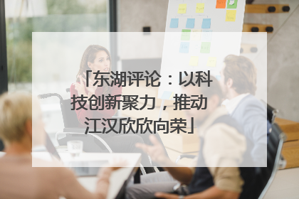 东湖评论：以科技创新聚力，推动江汉欣欣向荣