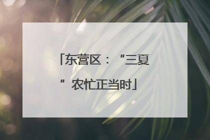 东营区：“三夏”农忙正当时
