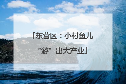 东营区：小村鱼儿“游”出大产业