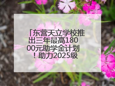 东营天立学校推出三年最高18000元助学金计划！助力2025级新生扬帆起航