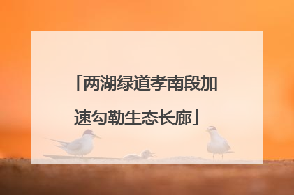 两湖绿道孝南段加速勾勒生态长廊