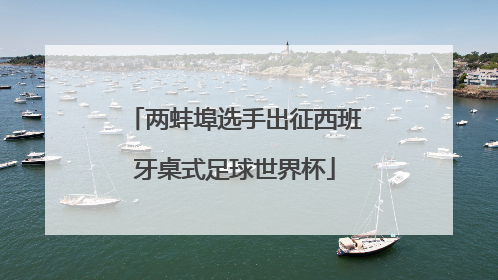 两蚌埠选手出征西班牙桌式足球世界杯