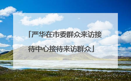 严华在市委群众来访接待中心接待来访群众