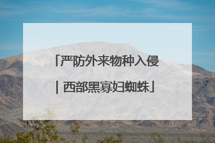 严防外来物种入侵｜西部黑寡妇蜘蛛