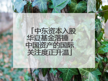 中东资本入股华夏基金落锤，中国资产的国际关注度正升温