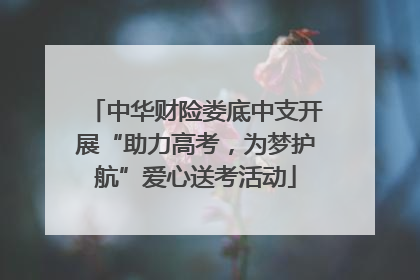 中华财险娄底中支开展“助力高考，为梦护航”爱心送考活动