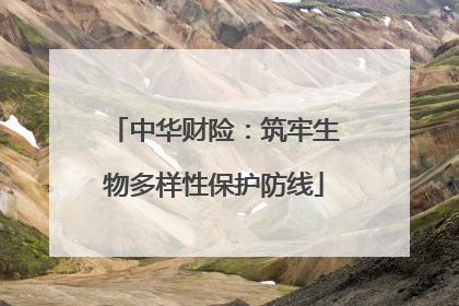 中华财险：筑牢生物多样性保护防线
