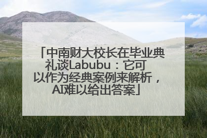 中南财大校长在毕业典礼谈Labubu：它可以作为经典案例来解析，AI难以给出答案