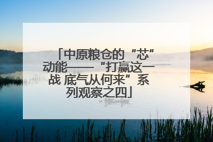 中原粮仓的“芯”动能——“打赢这一战 底气从何来”系列观察之四