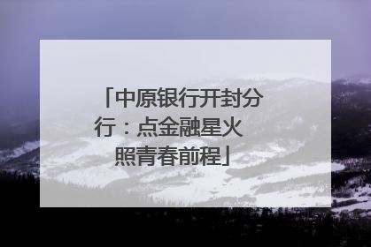 中原银行开封分行：点金融星火 照青春前程