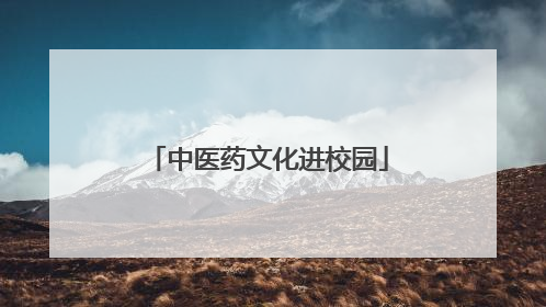 中医药文化进校园