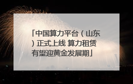 中国算力平台（山东）正式上线 算力租赁有望迎黄金发展期