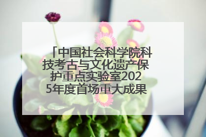 中国社会科学院科技考古与文化遗产保护重点实验室2025年度首场重大成果发布会在京举行