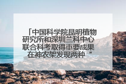中国科学院昆明植物研究所和深圳兰科中心联合科考取得重要成果 在神农架发现两种“国保”级兰花