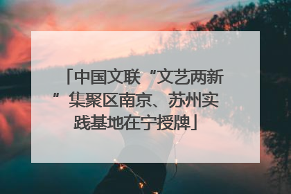 中国文联“文艺两新”集聚区南京、苏州实践基地在宁授牌