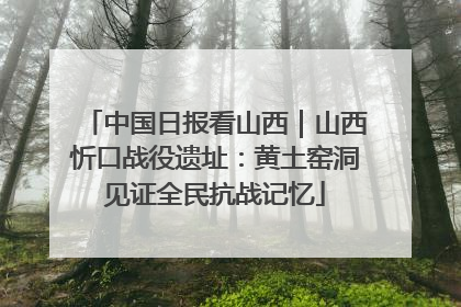 中国日报看山西｜山西忻口战役遗址：黄土窑洞见证全民抗战记忆