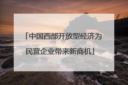 中国西部开放型经济为民营企业带来新商机