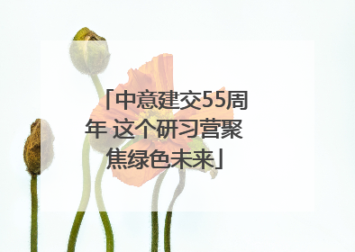 中意建交55周年 这个研习营聚焦绿色未来