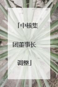 中核集团董事长调整