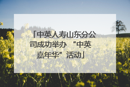 中英人寿山东分公司成功举办 “中英嘉年华”活动