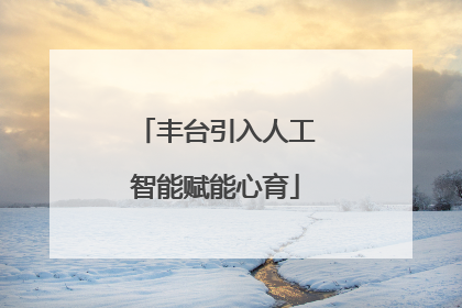 丰台引入人工智能赋能心育