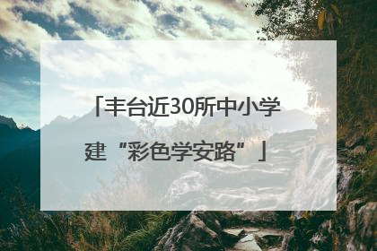 丰台近30所中小学建“彩色学安路”
