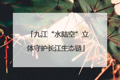九江“水陆空”立体守护长江生态链