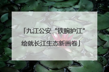 九江公安“铁腕护江”绘就长江生态新画卷