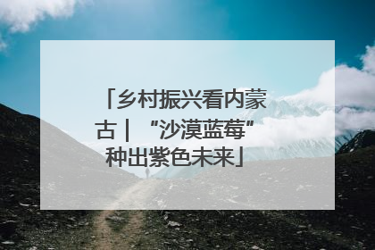 乡村振兴看内蒙古｜“沙漠蓝莓”种出紫色未来