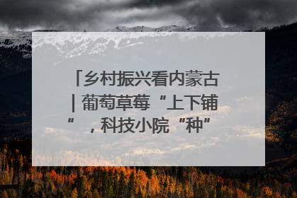 乡村振兴看内蒙古｜葡萄草莓“上下铺”，科技小院“种”出三倍效益
