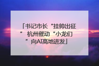书记市长“挂帅出征” 杭州催动“小龙们”向AI高地进发