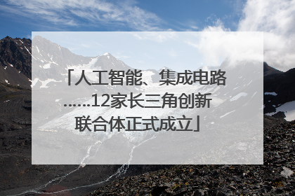 人工智能、集成电路……12家长三角创新联合体正式成立